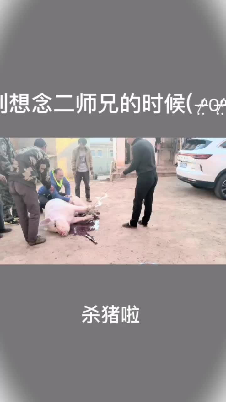 杀猪饭 云南杀猪饭 寻年家乡的味道 二师兄来了