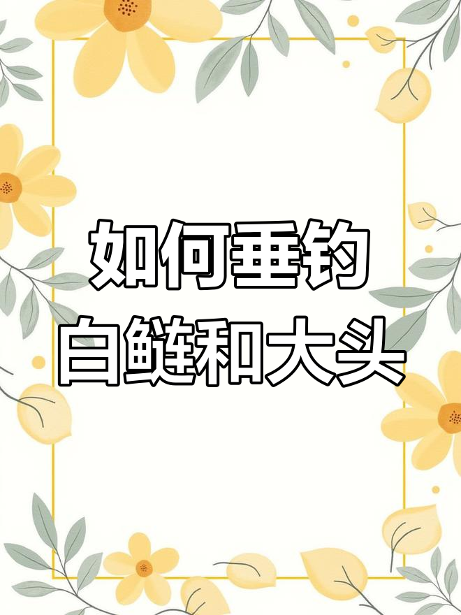 鲢鱼与大头鱼的钓法差异
