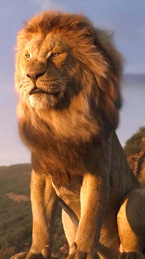 雄狮动态壁纸,草原上的王者之