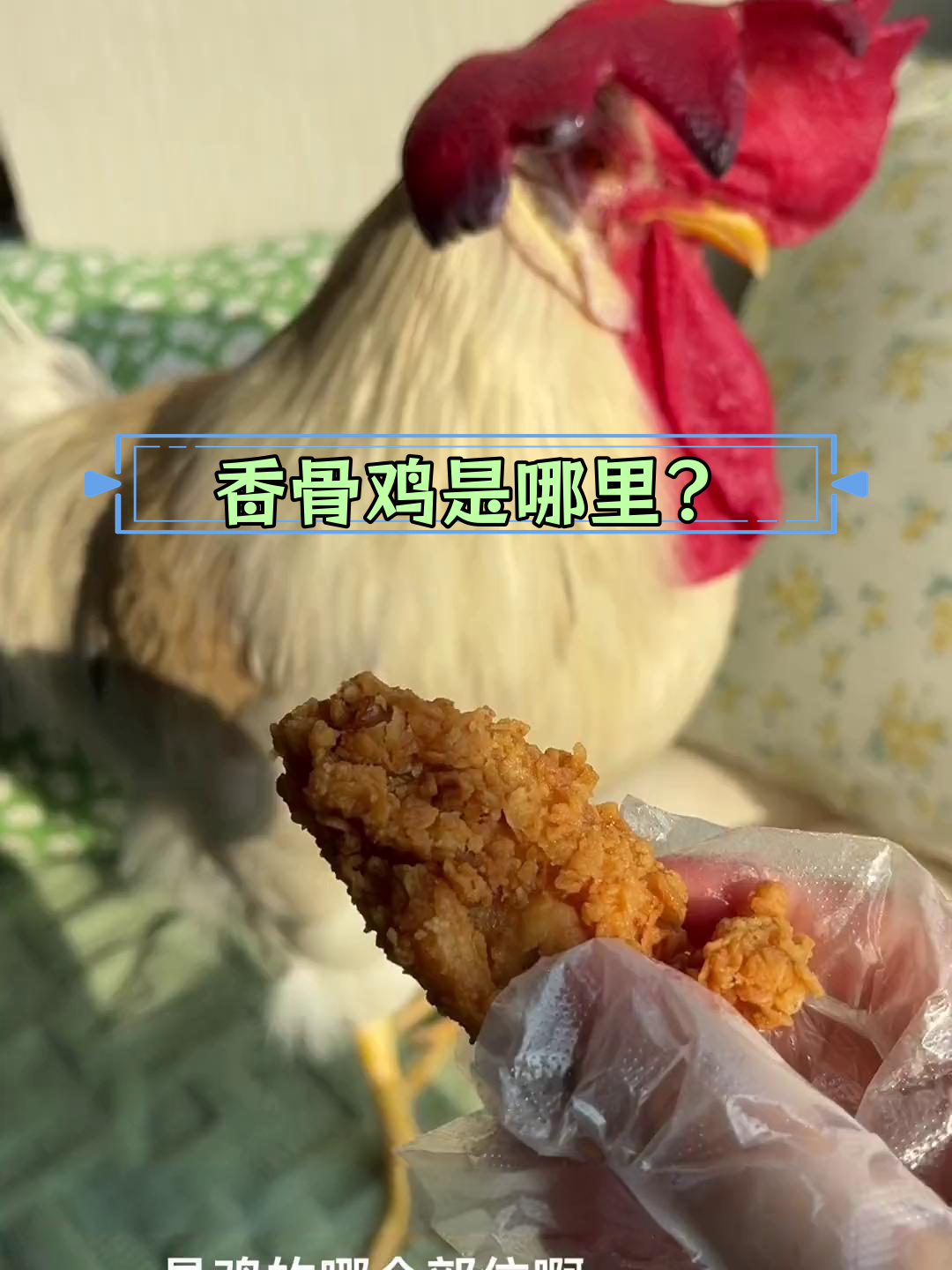 开封菜香骨鸡究竟是哪部分?