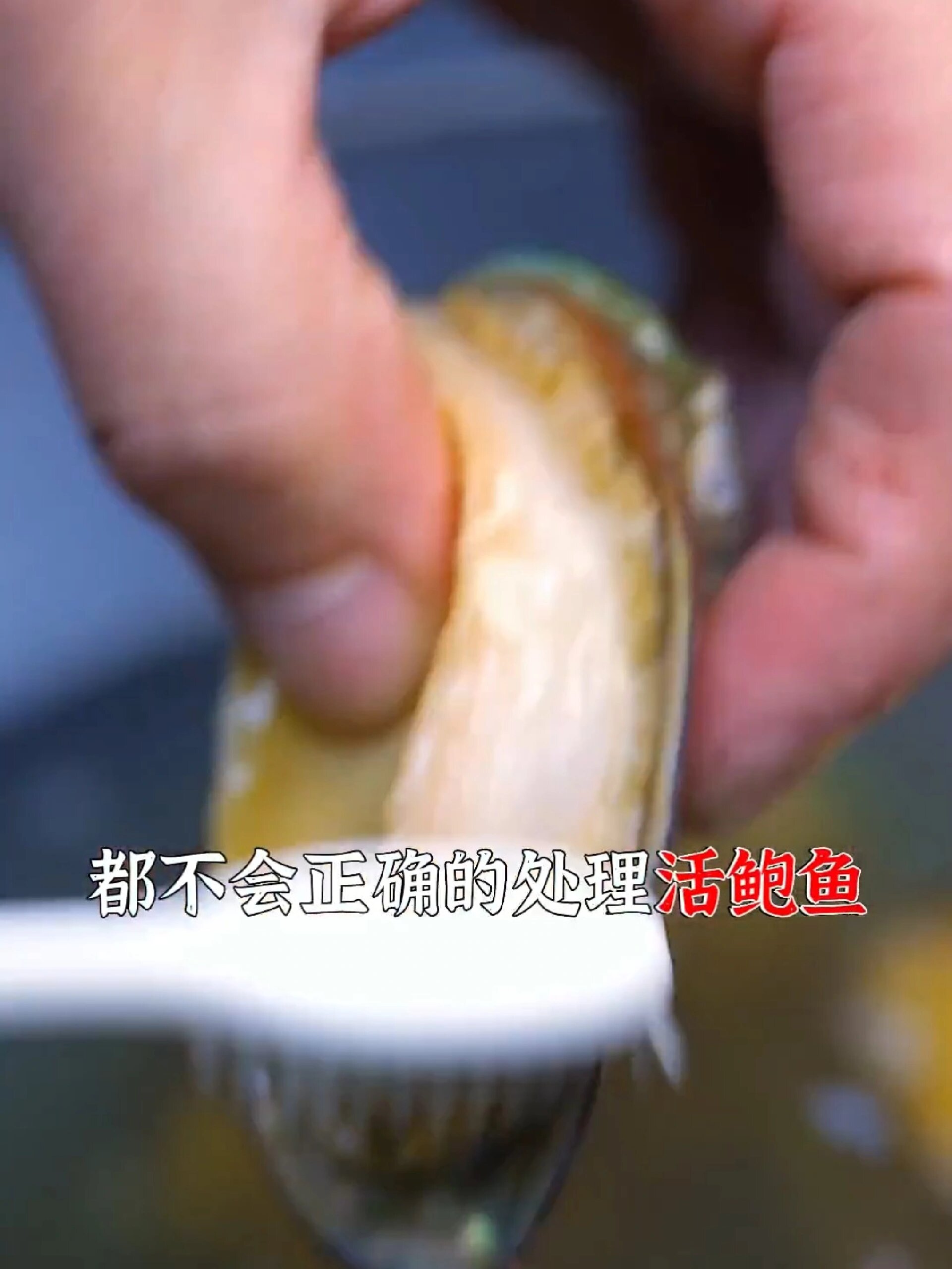 鲍鱼怎样清洗处理?