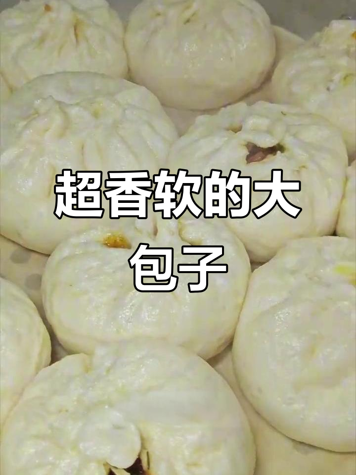 韭菜猪肉粉条大包子,一口接一口停不下来!