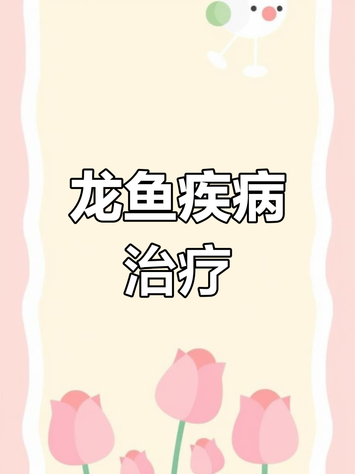治愈龙鱼常见病,轻松应对各种症状