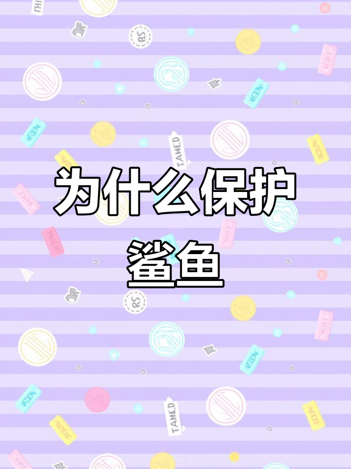 鲨鱼为何值得保护?它们如何影响海洋生态平衡