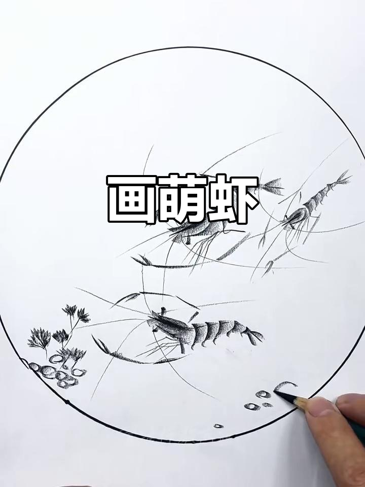 轻松画出可爱小虾，简单又有趣