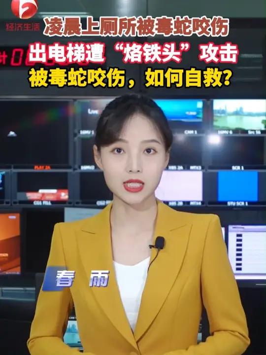 毒蛇频频伤人,被咬伤后,该如何自救