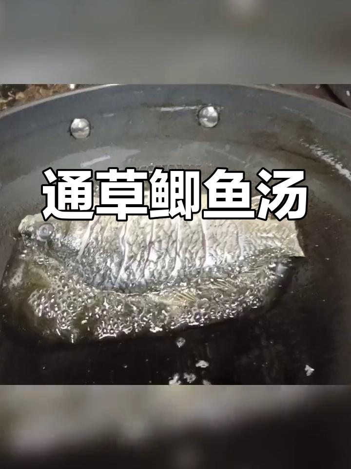 通草鲫鱼汤的做法