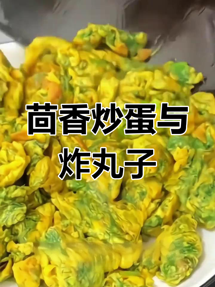 茴香炒鸡蛋与素丸子新做法,鲜香味美停不下来