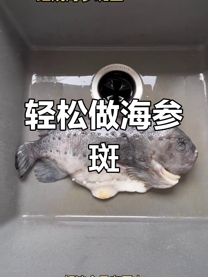 海参斑的家常做法,简单烹饪展现高端美味