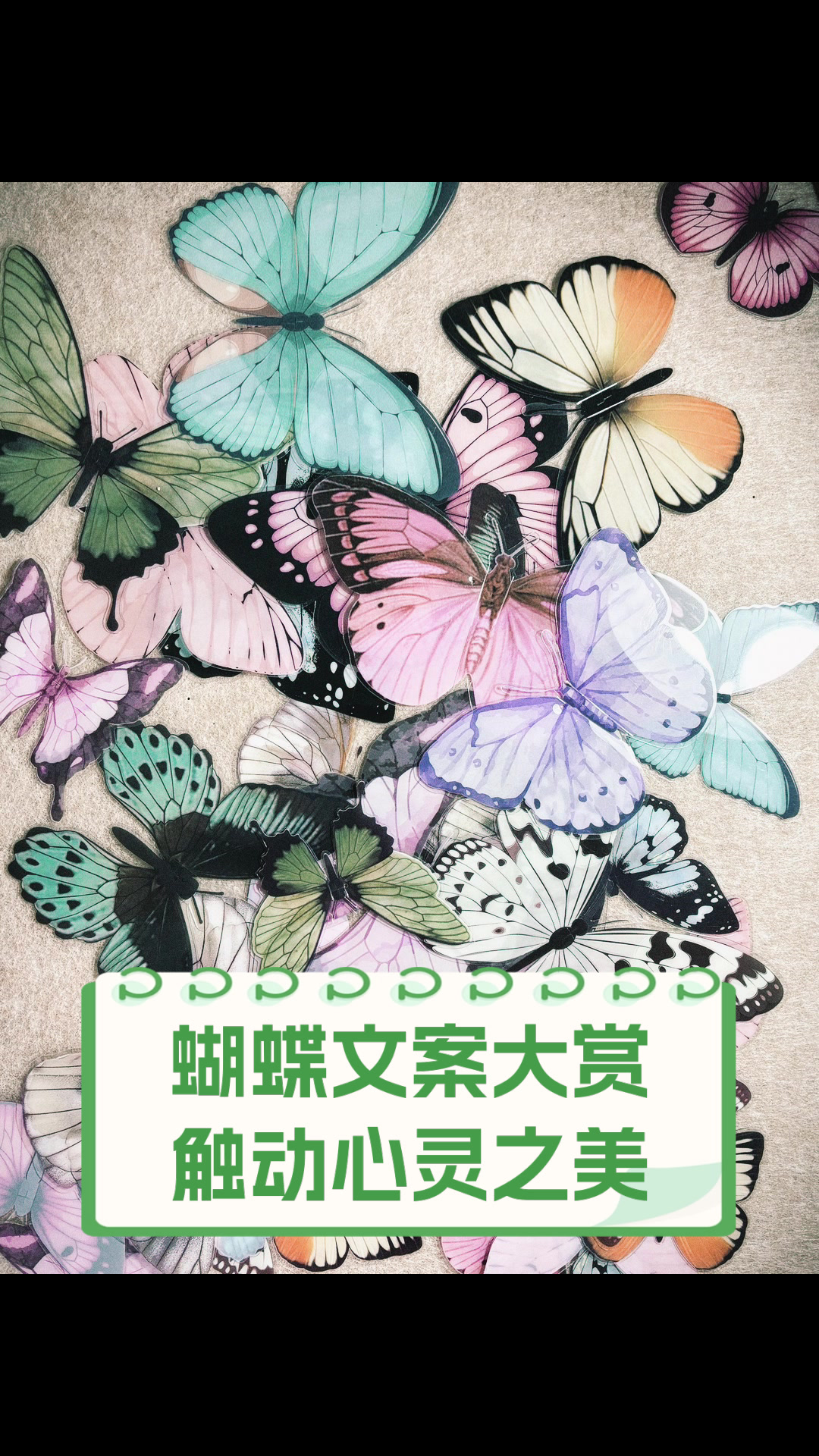 蝴蝶文案大赏,触动心灵之美