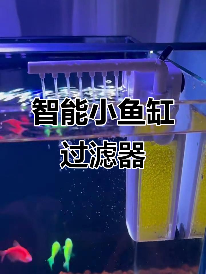 小鱼缸过滤器吸盘设计,轻松调节水流与氧气含量