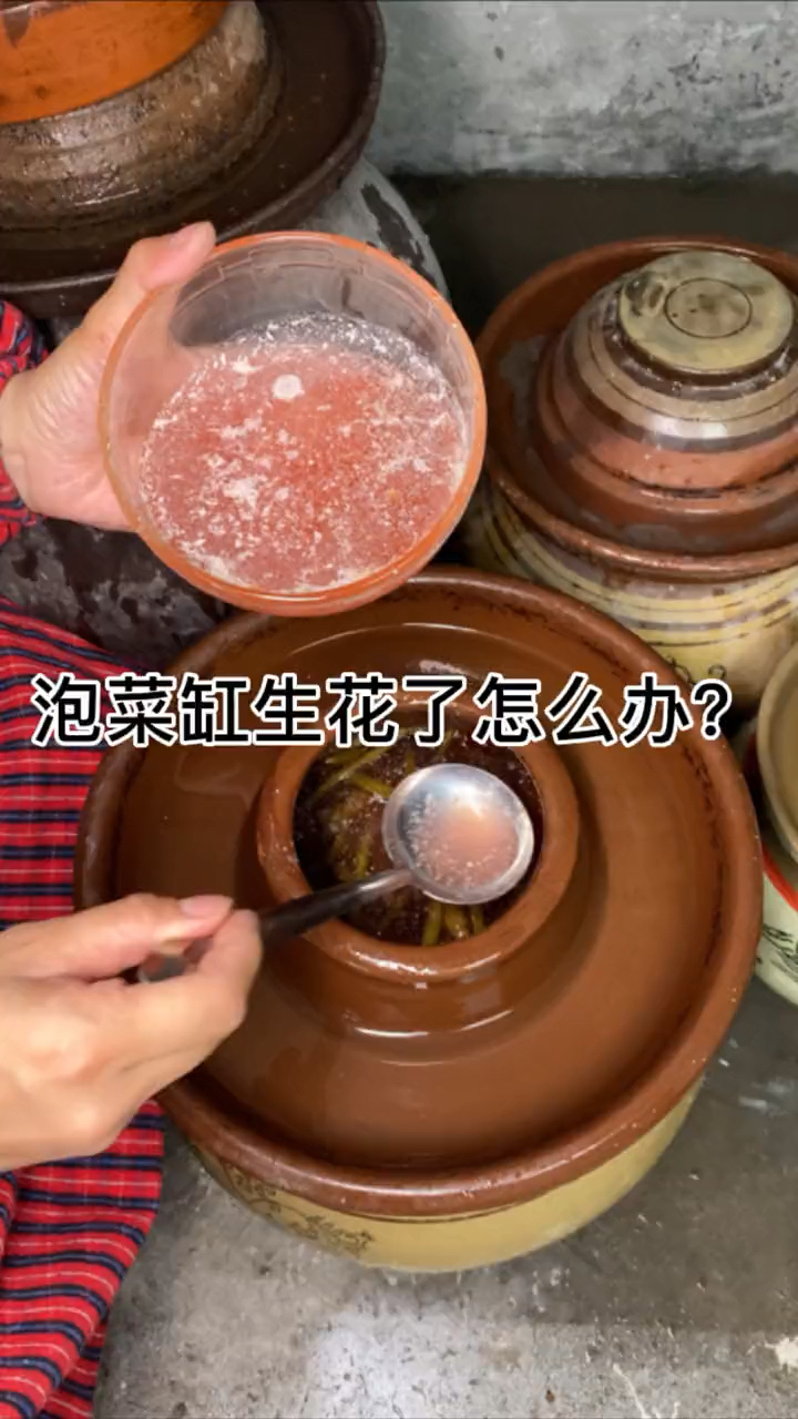 很多人问我泡菜缸生花怎么办,方法来啦,很简