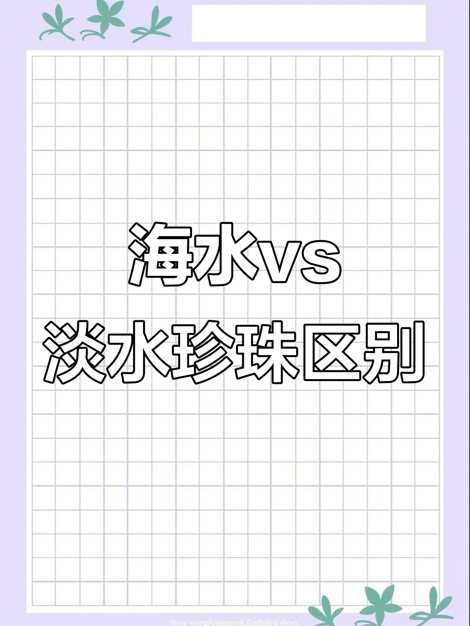 海水珍珠与淡水珍珠大揭秘:价格差异背后的秘密