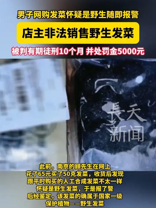 男子网购发菜怀疑是野生随即报警,店主非法销售野生发菜,被判有期徒刑10个月,并处罚金500