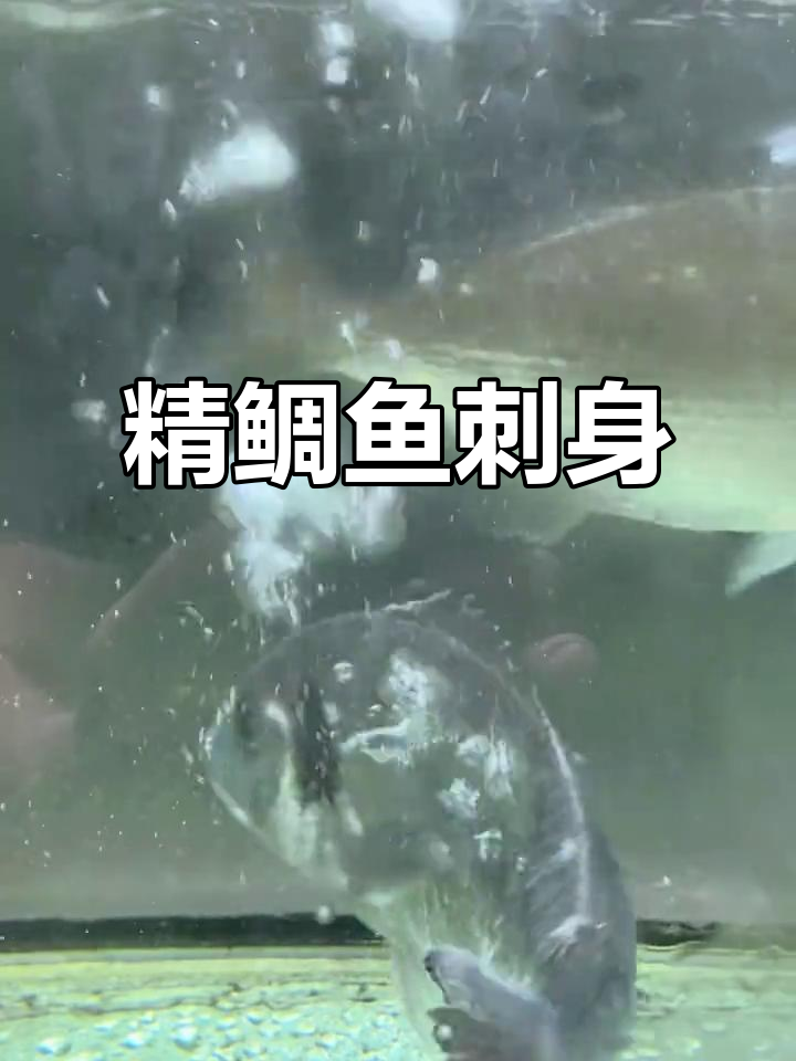 金鲷鱼刺身:鲜美如海珍,口感细腻爽滑