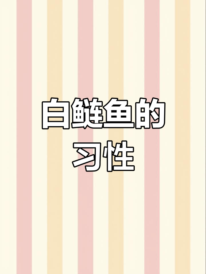 白鲢鱼以浮游植物为食,活泼跳跃,常在水域上层活动