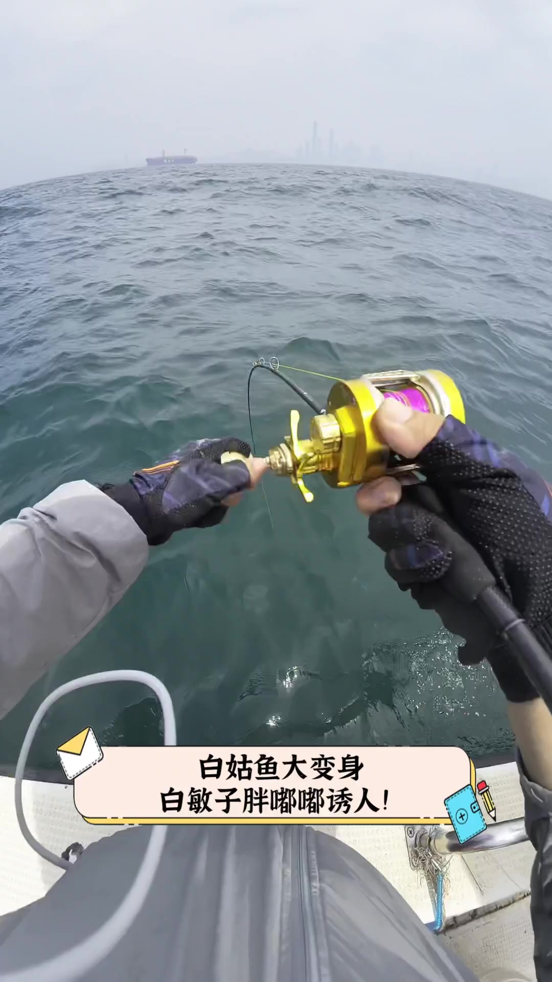 白姑鱼大变身,白敏子胖嘟嘟诱人!