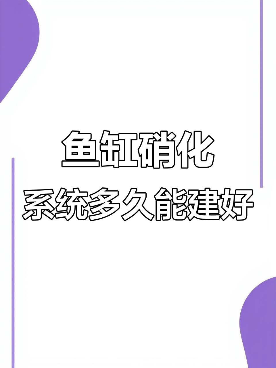 鱼缸硝化系统建立速度与养殖密度、饲料投喂量关系大揭秘