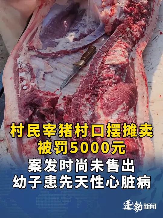 村民宰猪村口摆摊卖被罚5000元,没收代售的342.8市斤猪肉!幼子患先天性心脏病,负担重