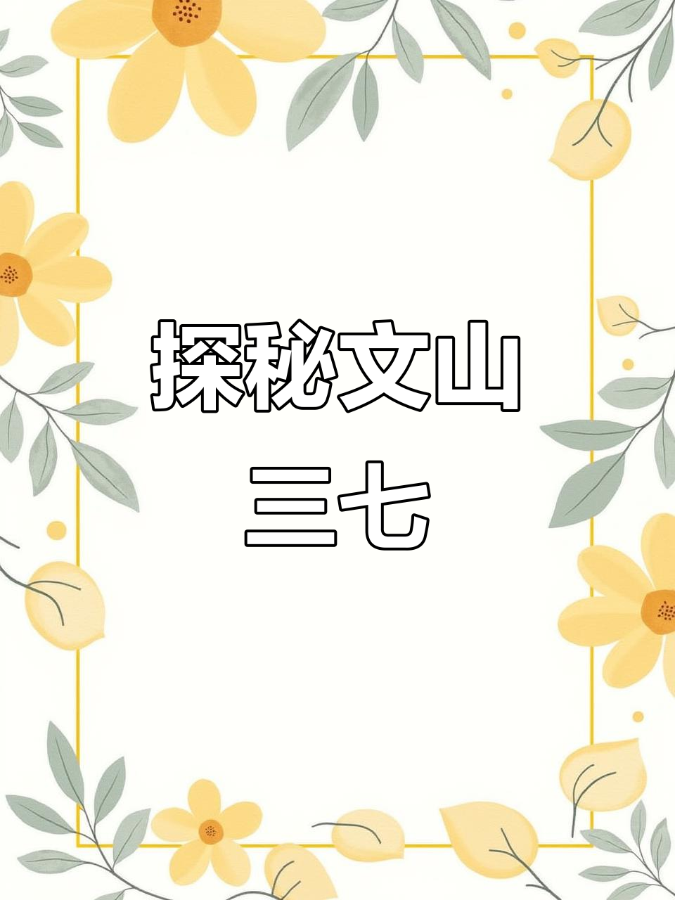 文山三七:了解神奇的三七功效与作用