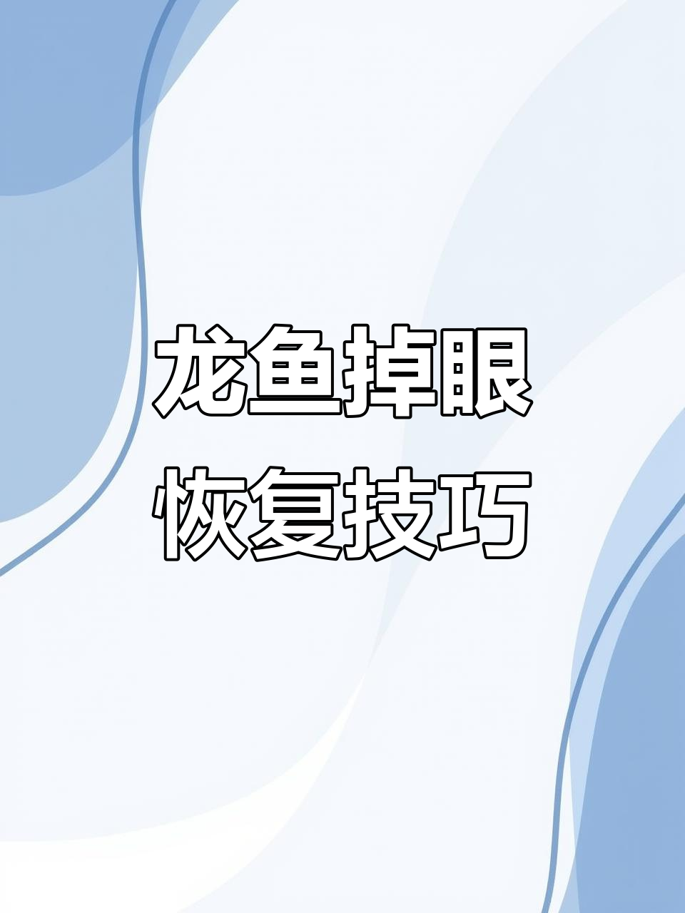 龙鱼掉眼修复全过程,眼睛喷油背后的原因