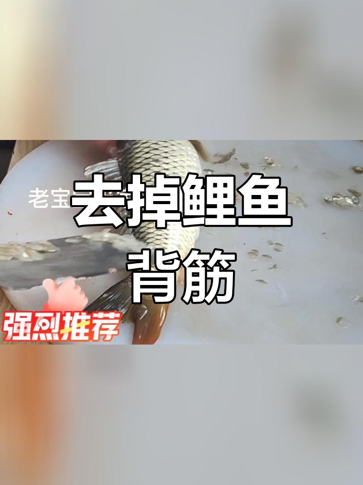 鲤鱼背筋去除技巧,轻松搞定