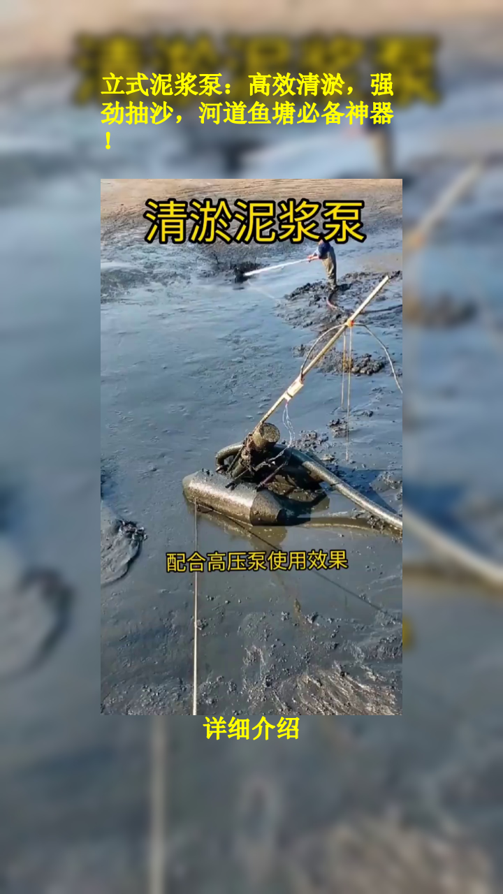立式泥浆泵:高效清淤,强劲抽沙,河道鱼塘必备神器!