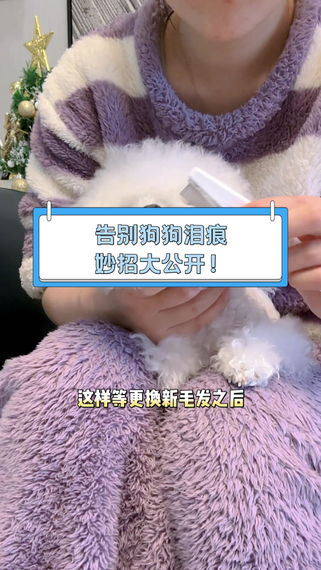 告别狗狗泪痕,妙招大公开!