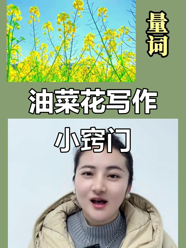 写作技巧大揭秘:如何让油菜花描写更生动有趣
