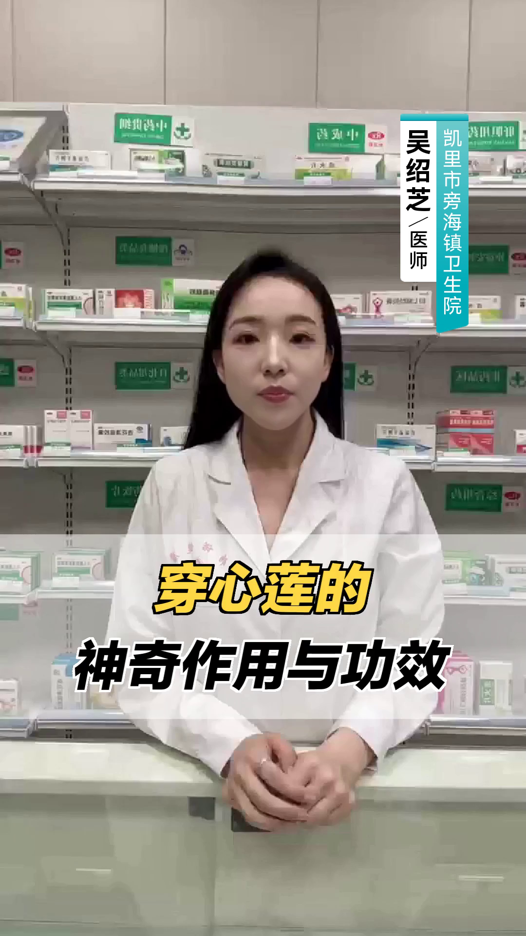 穿心莲的神奇作用与功效