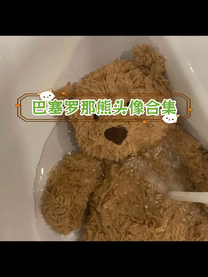 精选巴塞罗那熊头像,免费下载