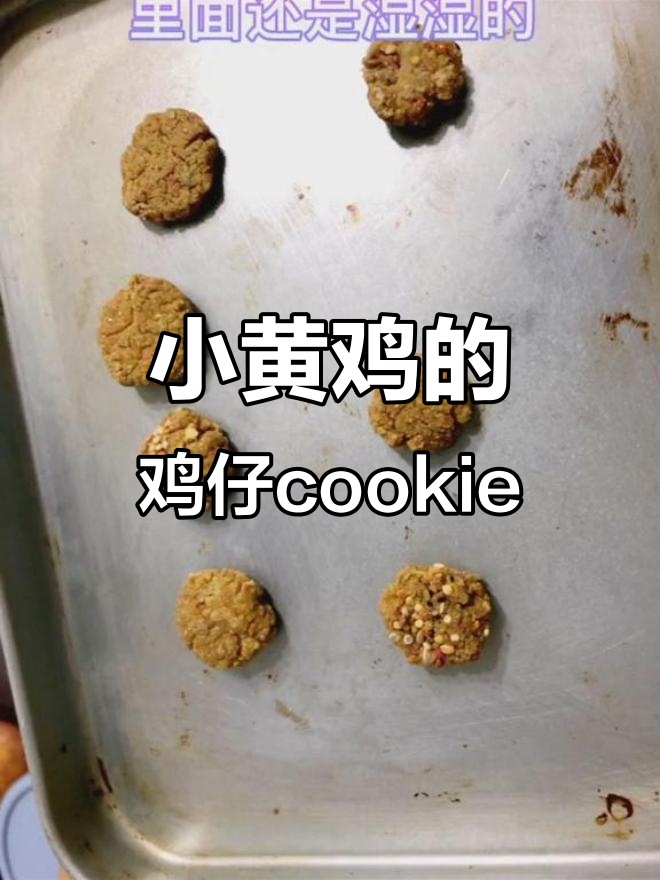 小黄鸡的专属cookie,萌宠必备!