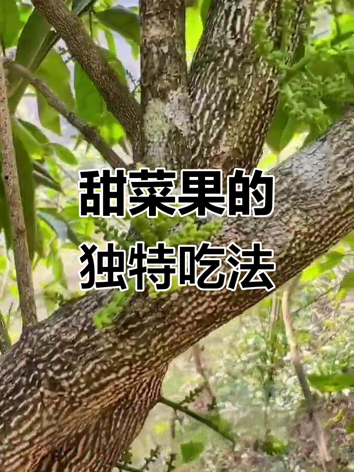 甜菜果竟然是这样吃的，炒汤都能变美味！