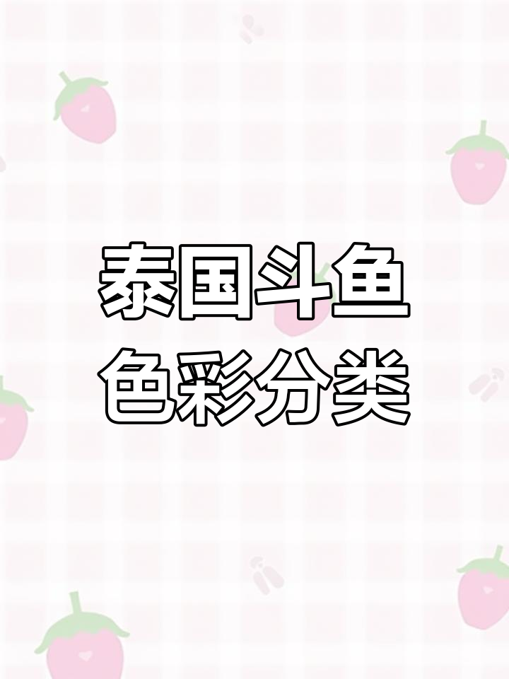 泰国斗鱼品种大揭秘:按颜色分类详解
