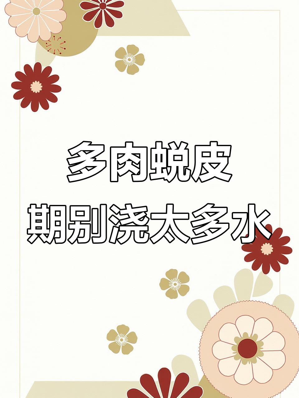 蜕皮期多肉植物如何正确养护?少浇水才是关键