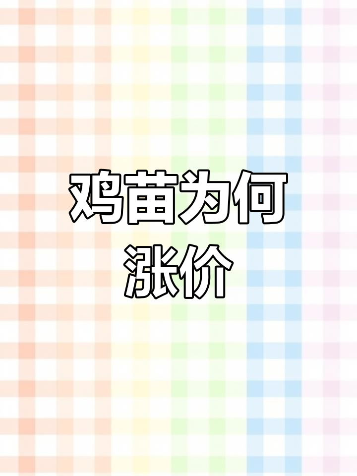为什么鸡苗价格暴涨?背后真相大揭秘