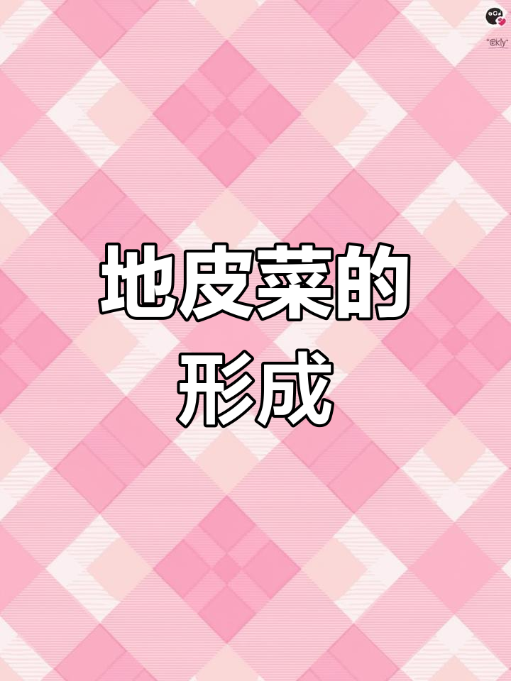 地皮菜的生长与形成过程揭秘