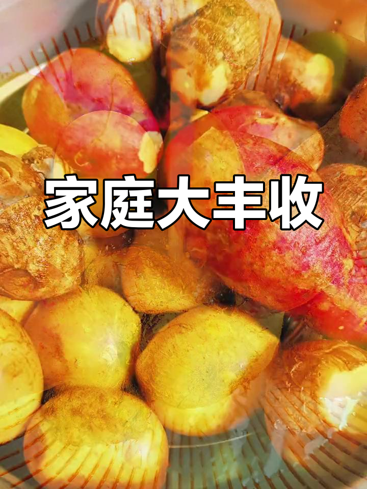 酒店家庭版,蒸啥都美味!红薯、辣椒酱、芋头随心搭配