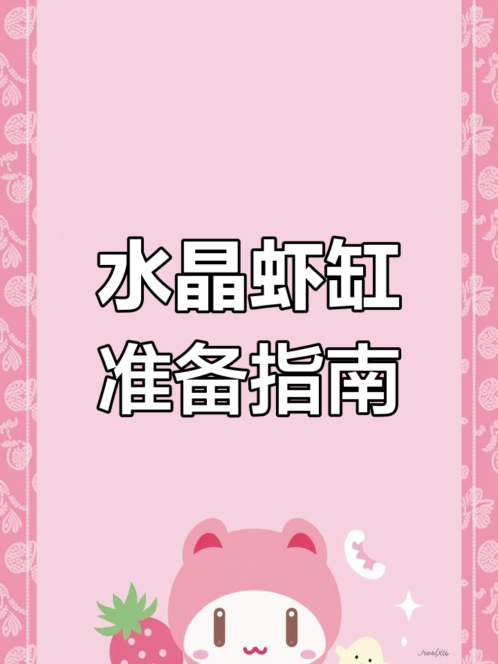 准备水晶虾缸,分享经验与常见问题解答