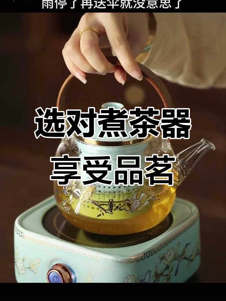 选择适合的煮茶器,让品茗更完美
