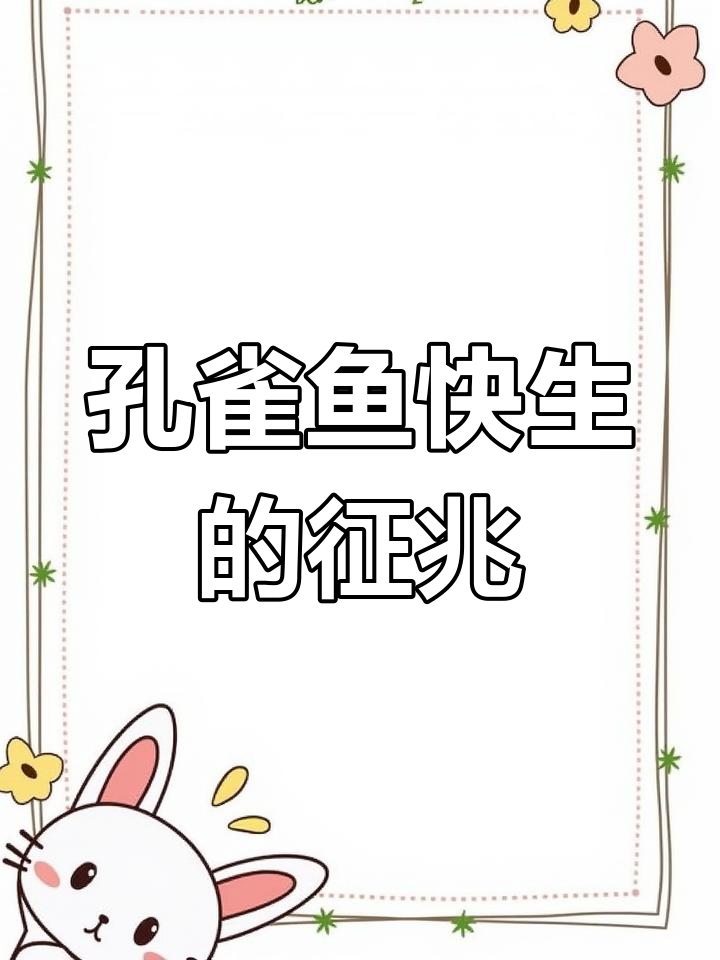 孔雀鱼繁殖前兆全解析:从肚子到行动变化