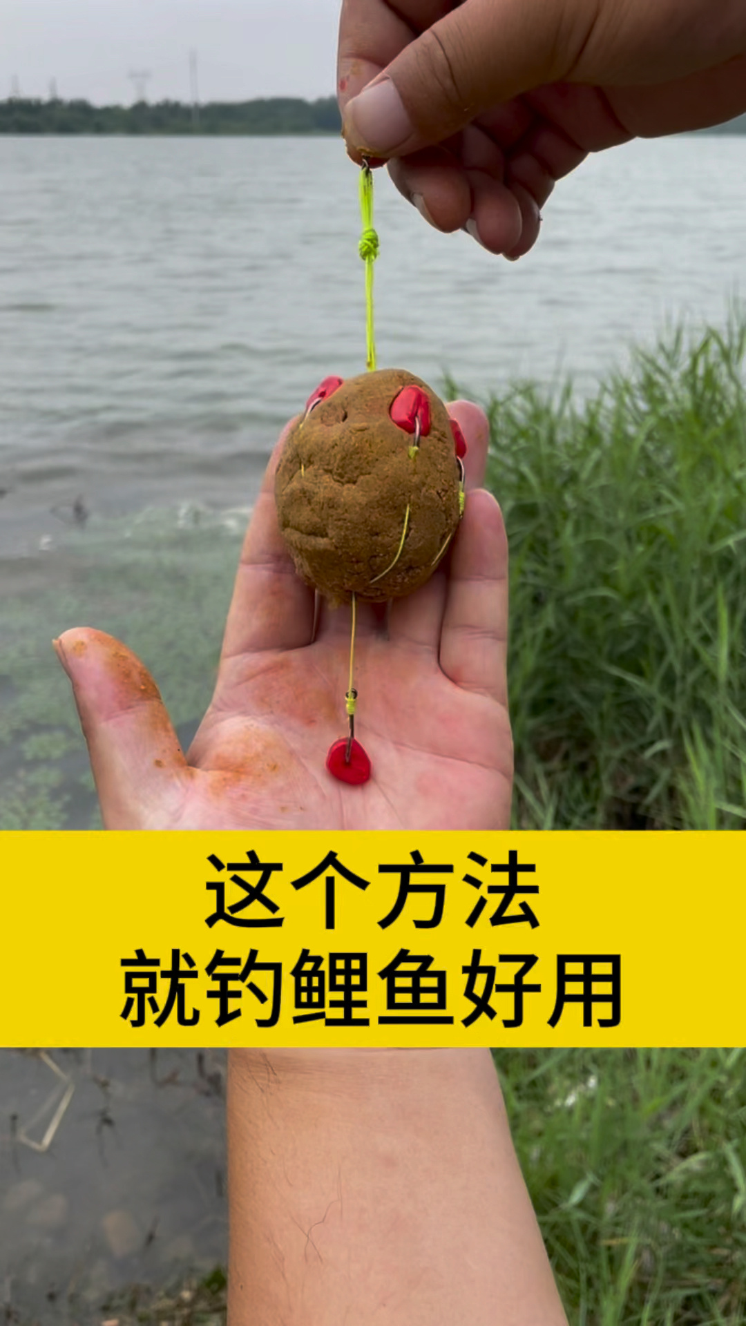 海竿钓鲤鱼方法