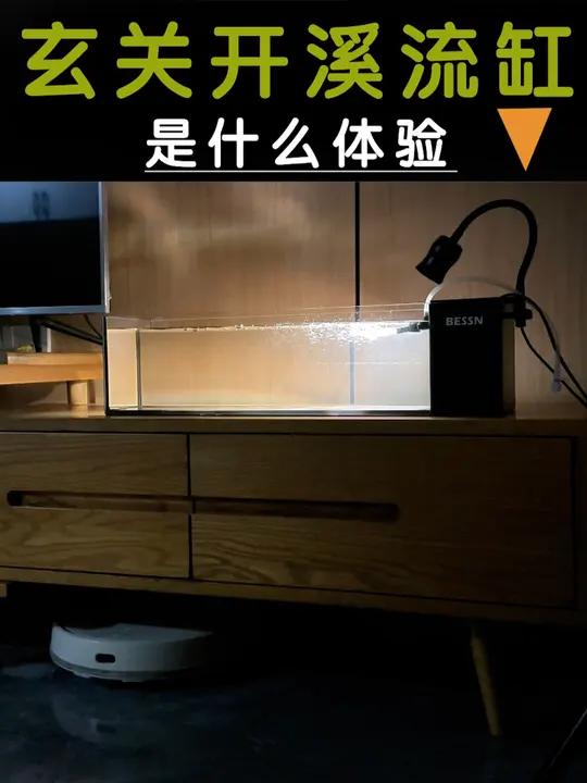 把溪流缸放在桌面,放在吧台,放在玄关,是什么体验?溪流缸 桌面鱼缸 开缸 鱼缸 养鱼