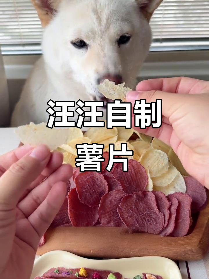 自制狗狗薯片,鲜虾紫薯口味超脆!