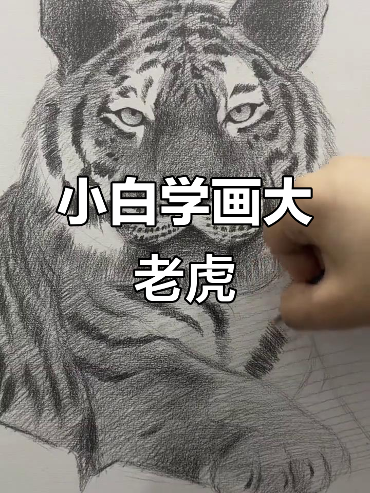 零基础也能轻松画出可爱大老虎,步骤详解教你素描技巧