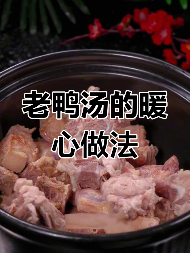 寒冷的季节,炖一锅酸萝卜老鸭汤,温暖又美味!