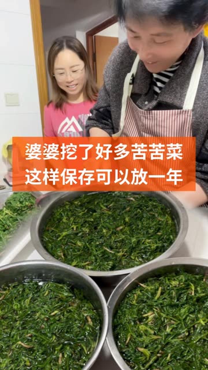 苦苦菜冷冻放冰箱到过年的时候拌着吃太香了