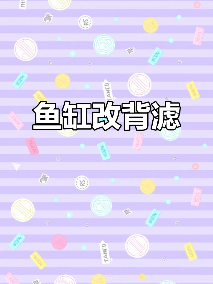 鱼缸改造全流程:从裸缸到背滤系统