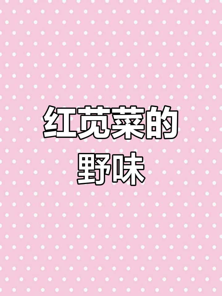 野生红苋菜,煲汤鲜美又营养,纯天然绿色食材