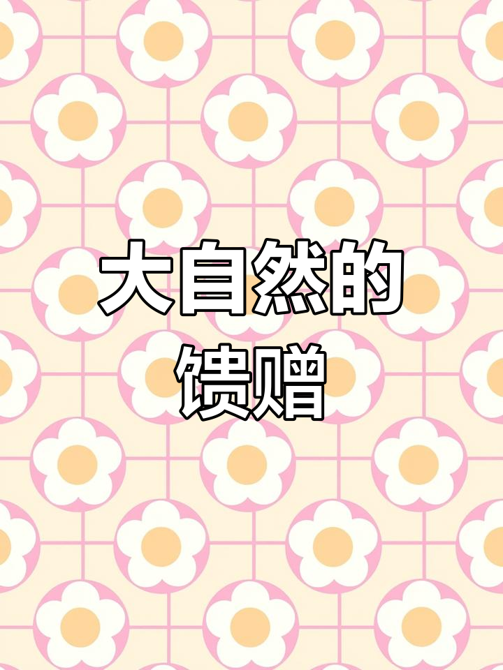 野生药材:鹅掌柴与鸭脚木的神奇功效